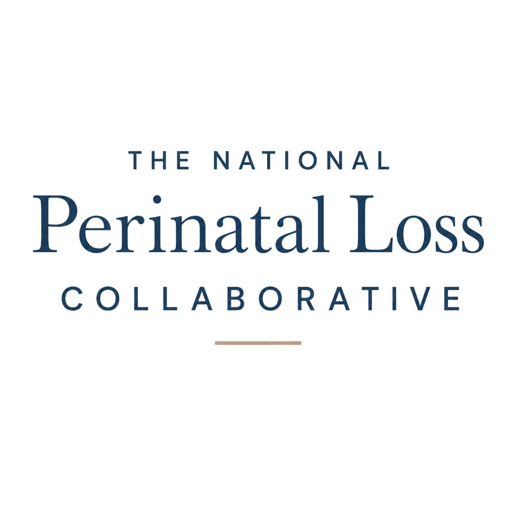 The National Perinatal Loss Collaborative 4